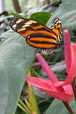 Book cover for Mind Blowing Black And Orange Butterfly 200 page lined journal