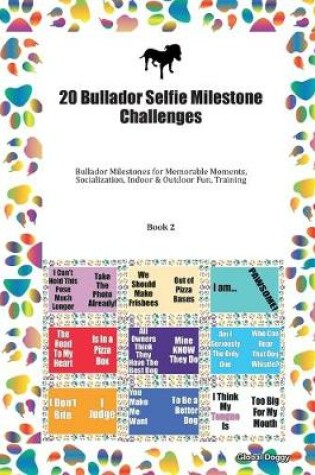 Cover of 20 Bullador Selfie Milestone Challenges