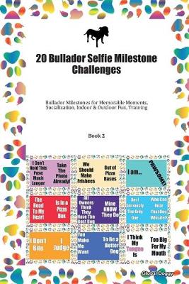 Book cover for 20 Bullador Selfie Milestone Challenges