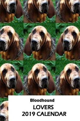 Book cover for Bloodhound Lovers 2019 Calendar