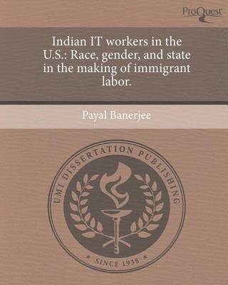 Book cover for Indian It Workers in the U.S.: Race