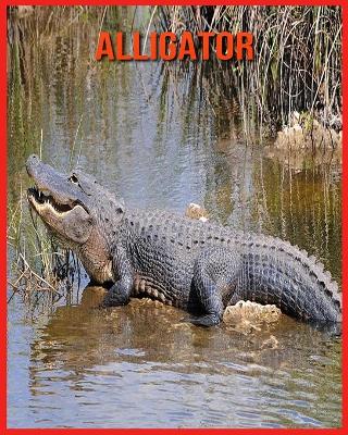 Book cover for Alligator