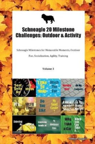 Cover of Schneagle 20 Milestone Challenges