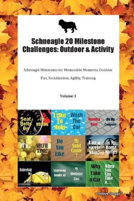 Book cover for Schneagle 20 Milestone Challenges