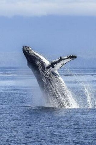 Cover of A Humpback Whale Leaping Out of the Water in Alaska