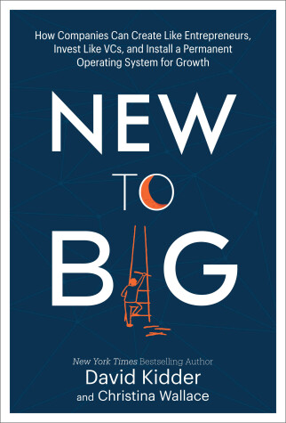 Book cover for New to Big