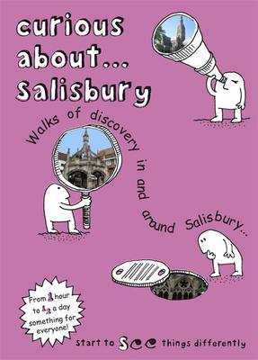 Book cover for Curious About... Salisbury