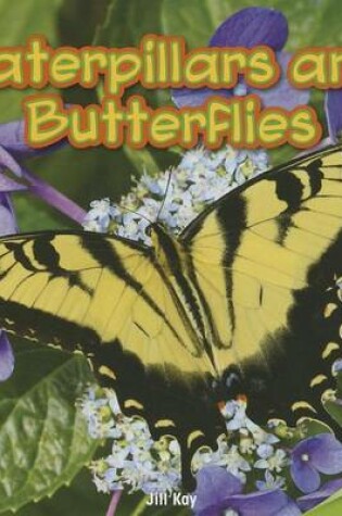 Cover of Caterpillars and Butterflies