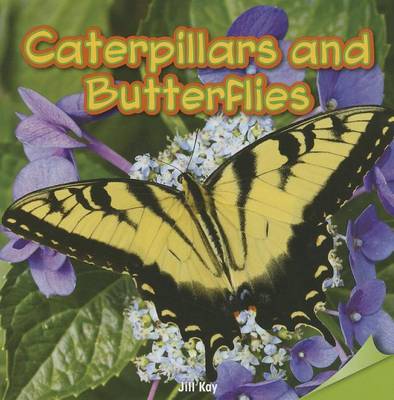 Book cover for Caterpillars and Butterflies