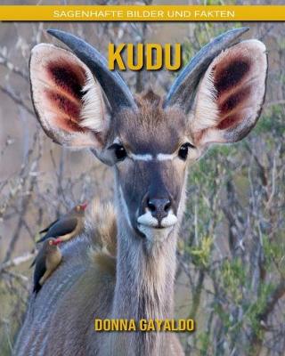 Book cover for Kudu