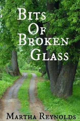 Cover of Bits of Broken Glass