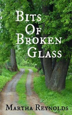 Book cover for Bits of Broken Glass