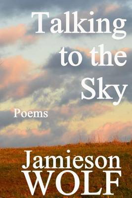 Book cover for Talking to the Sky