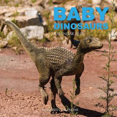 Book cover for Baby Dinosaurs Calendar 2016