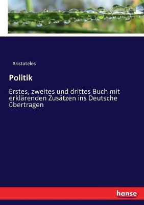 Book cover for Politik