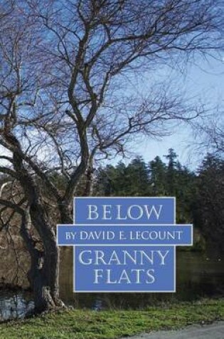 Cover of Below Granny Flats