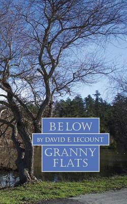 Book cover for Below Granny Flats