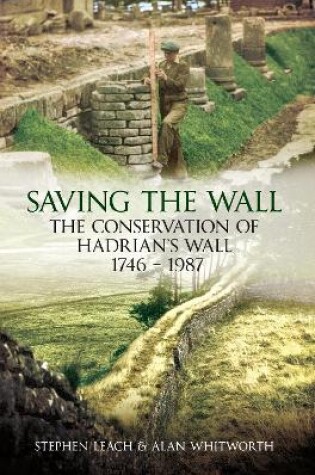 Cover of Saving the Wall