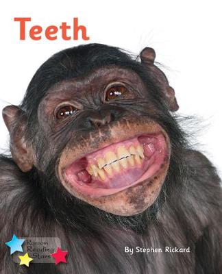 Book cover for Teeth