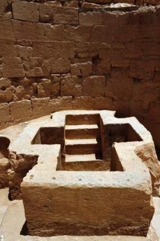 Cover of Ancient Beit Shean Tomb in Israel Journal