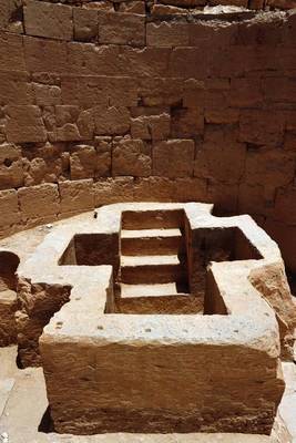 Book cover for Ancient Beit Shean Tomb in Israel Journal