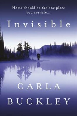 Cover of Invisible