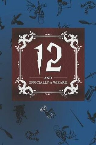 Cover of 12 And Officially A Wizard