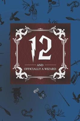 Book cover for 12 And Officially A Wizard