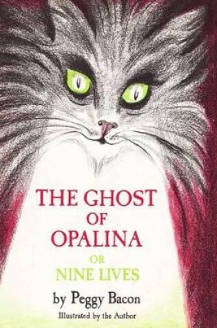 Cover of The Ghost of Opalina