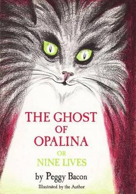 Book cover for The Ghost of Opalina
