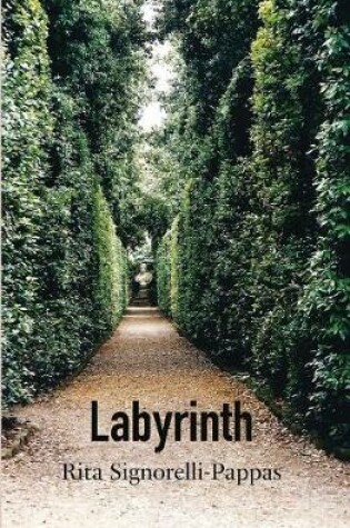 Cover of Labyrinth