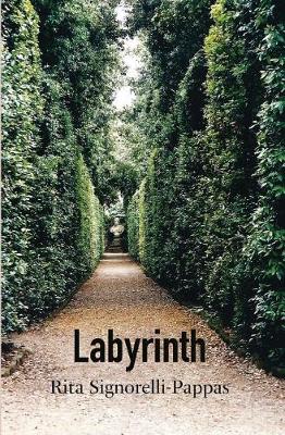 Book cover for Labyrinth