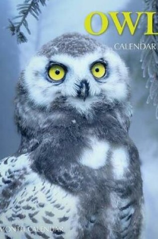 Cover of Owls Calendar 2019