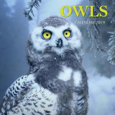 Book cover for Owls Calendar 2019