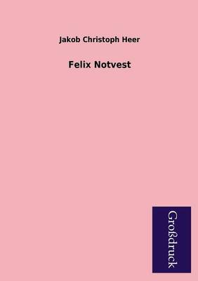 Book cover for Felix Notvest