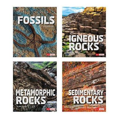 Book cover for Rocks