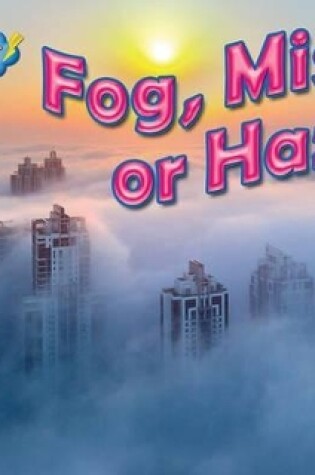 Cover of Fog, Mist, or Haze?