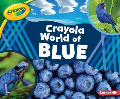 Book cover for Crayola (R) World of Blue