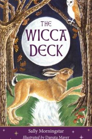 Cover of Wicca Deck