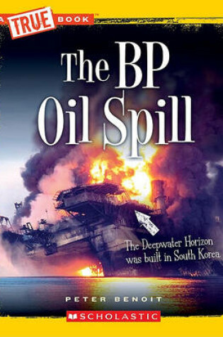 Cover of The BP Oil Spill