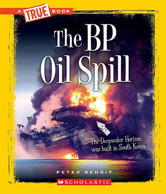 Cover of The BP Oil Spill