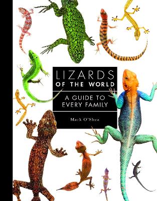 Book cover for Lizards of the World