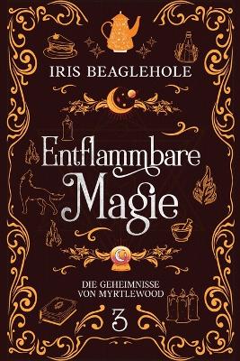 Book cover for Entflammbare Magie