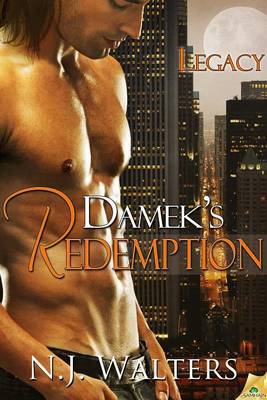 Book cover for Damek's Redemption