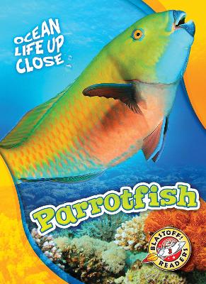 Cover of Parrotfish