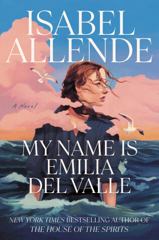 Cover of My Name Is Emilia del Valle