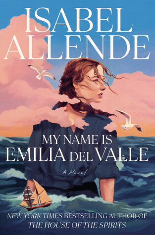 Book cover for My Name Is Emilia del Valle