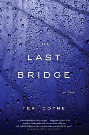 Cover of Last Bridge, The: A Novel