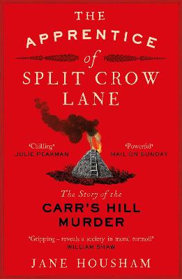 Book cover for The Apprentice of Split Crow Lane
