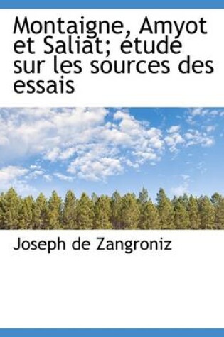 Cover of Montaigne, Amyot Et Saliat; Tude Sur Les Sources Des Essais